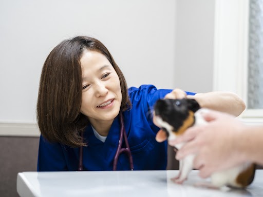 診療室